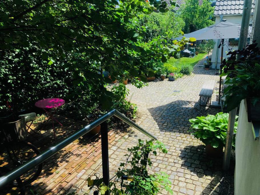 Ferienwohnung Gute Lage, 3 Raeder, Gruen, Familien Trier Exterior foto