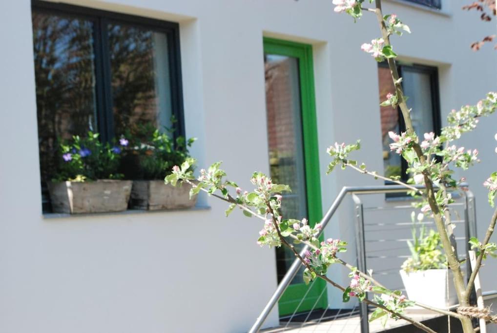 Ferienwohnung Gute Lage, 3 Raeder, Gruen, Familien Trier Exterior foto